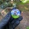 Small image 2