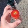Small image 1
