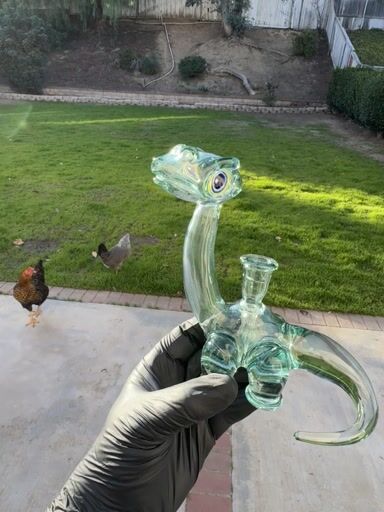 Preview pic of Long neck,  Dan Evans, looking for a new home