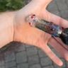 Small image 0
