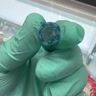 Small image 6