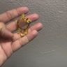 Small image 3