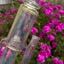 Small image 8