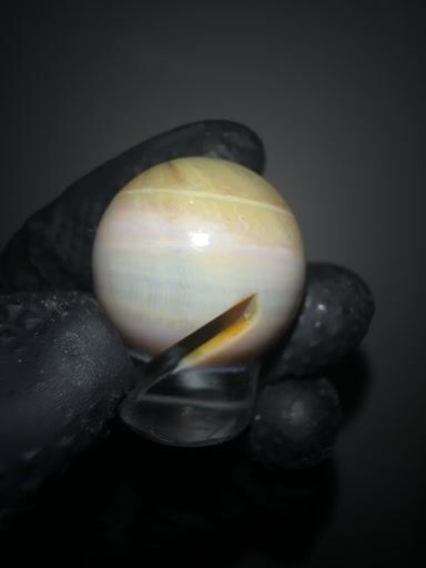 Preview pic of One Trick Pony