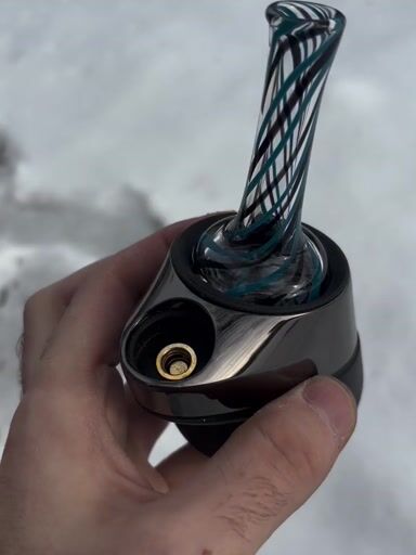 Preview pic of Carolina panther peak top