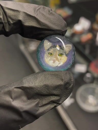 Preview pic of Willstar Millie Marble Kitty