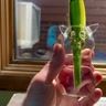Small image 5