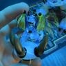 Small image 4