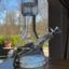 Small image 7