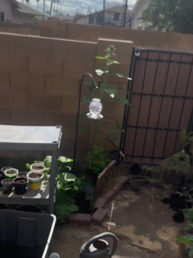 Preview pic of Uzzi Glass Recyler