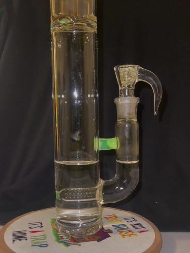 Preview pic of Kenta Kito