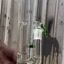 Small image 7