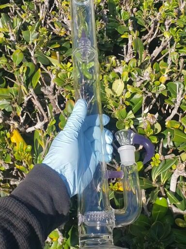 Preview pic of Kenta Kito Bong