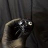 Small image 0