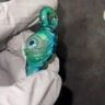 Small image 1