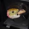 Small image 4