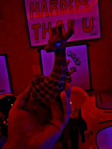 Preview pic of Robertson Giraffe