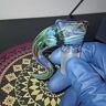 Small image 2