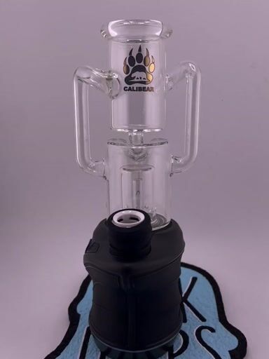 Preview pic of CaliBear Glass Focus V Carta Sport Glass Topper - Straight Tube Recycler