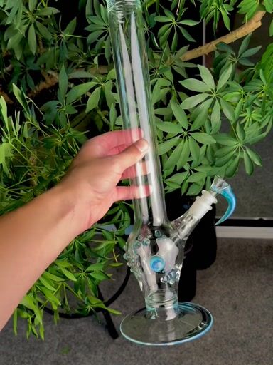 Preview pic of Marina beaker-esque setup