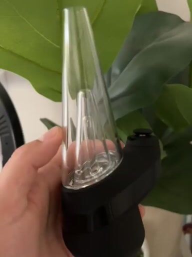 Preview pic of Puffco Peak (New)