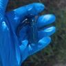 Small image 2