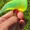 Small image 4
