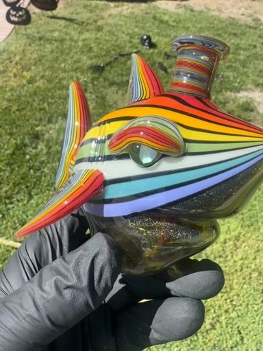 Preview pic of Niko shark 🌈