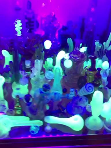 Preview pic of Entire glass collection for sale please do not offer 10 K looking for a higher offer offers must be above 10 K to be considered thank you