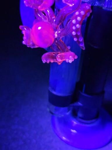 Preview pic of Octopus pwhippler pivot top