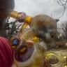 Small image 5