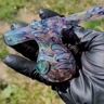 Small image 6
