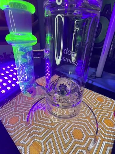 Preview pic of 1 of 1 zob x uzzi