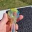 Small image 0