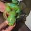 Small image 7