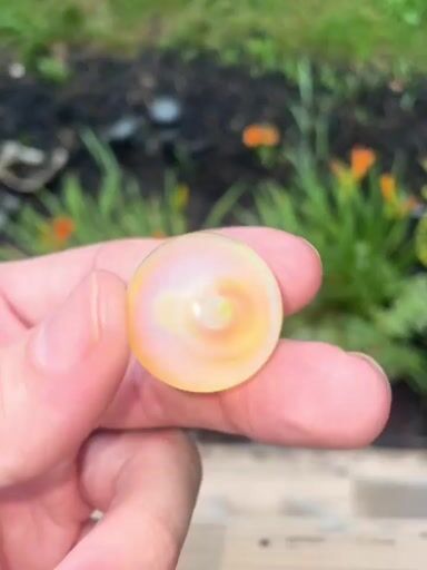 Preview pic of Heady Marble
