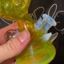 Small image 6