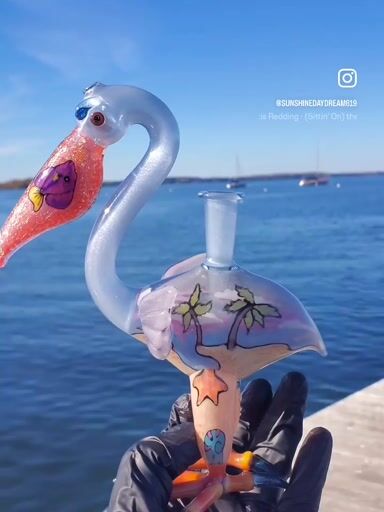 Preview pic of Windstar x Burtoni Pelican