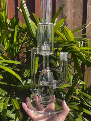 Preview pic of Full Size Hornet