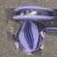 Small image 5