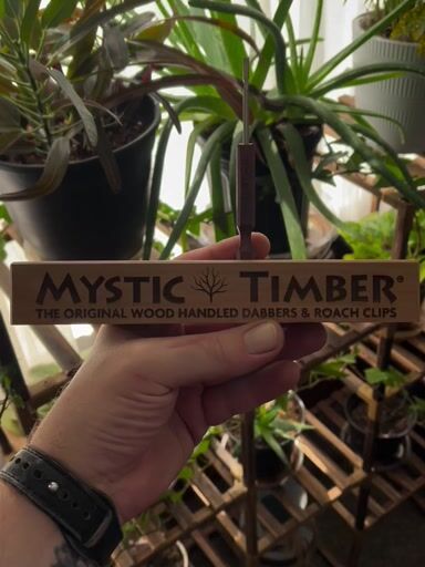 Preview pic of Mystic Timber Display