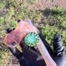 Small image 4