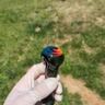 Small image 0