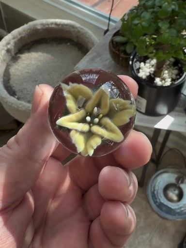 Preview pic of Lilly marble 1.25”