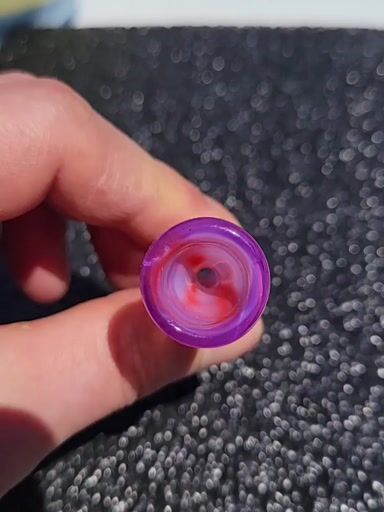 Preview pic of Stargazer and amora chillum