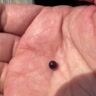 Small image 3