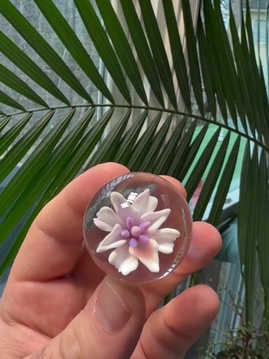 Preview pic of Lotus White and Royal Jelly Lily