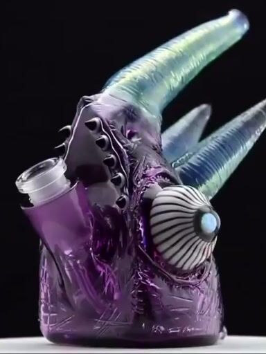 Preview pic of Akio molten aura Jackson’s tri horn chameleon