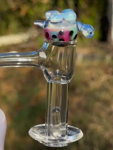 Preview pic of Rainbow Slurtle 1