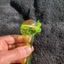 Small image 7